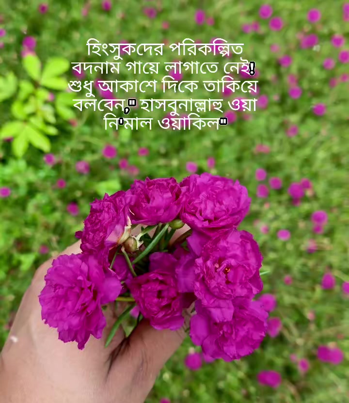 @Shahida Khan