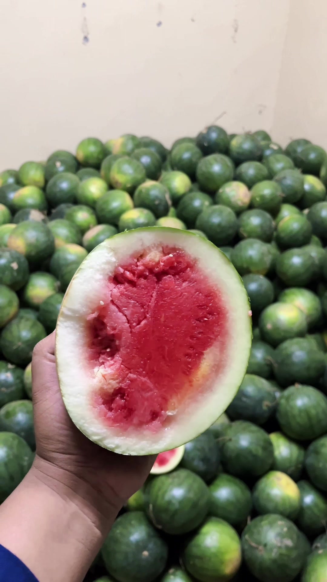 @Laras Buah
