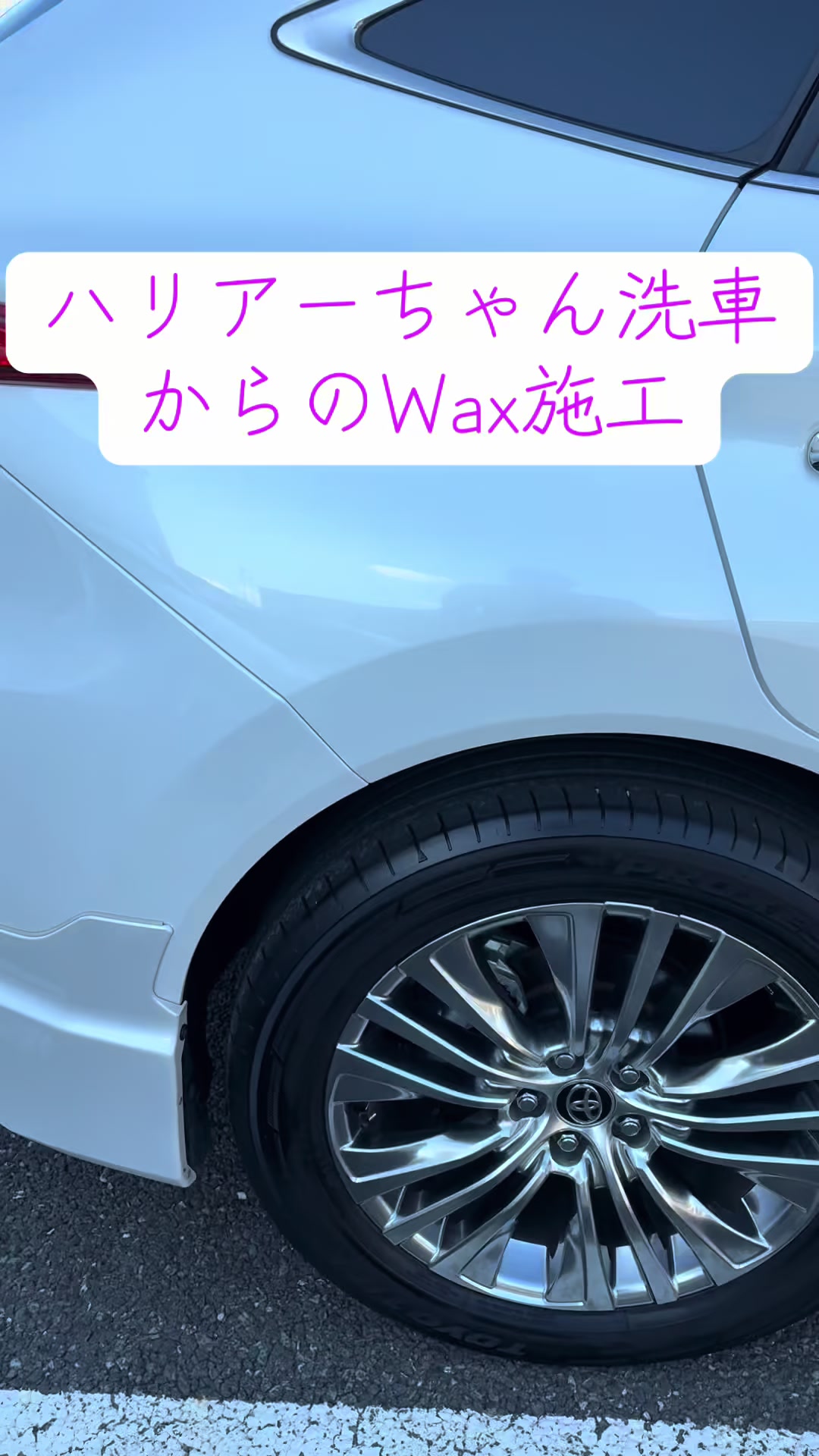 @🌸北のカリスマ桜丸🌸