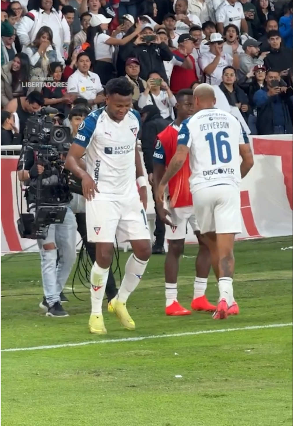 @Libertadores