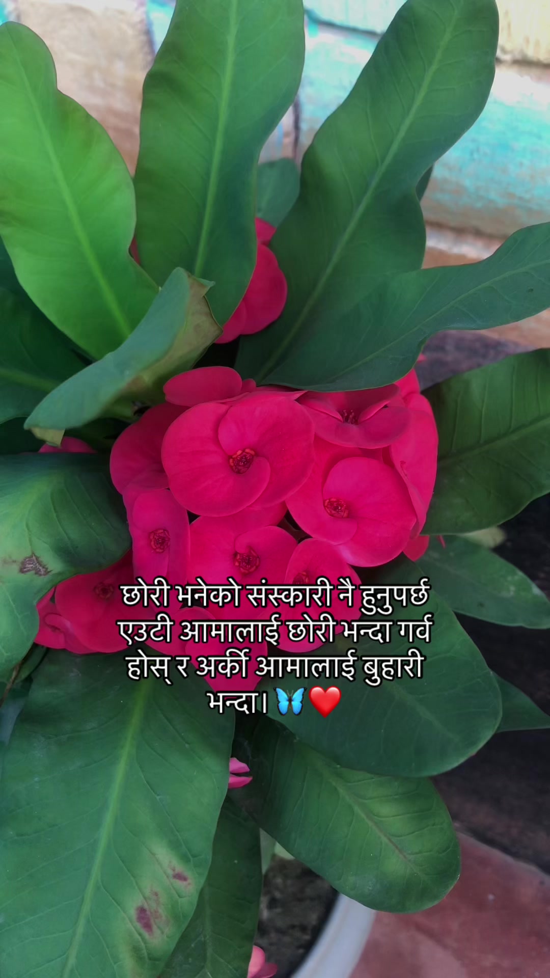 @Realwala_सौरभ✌🏻