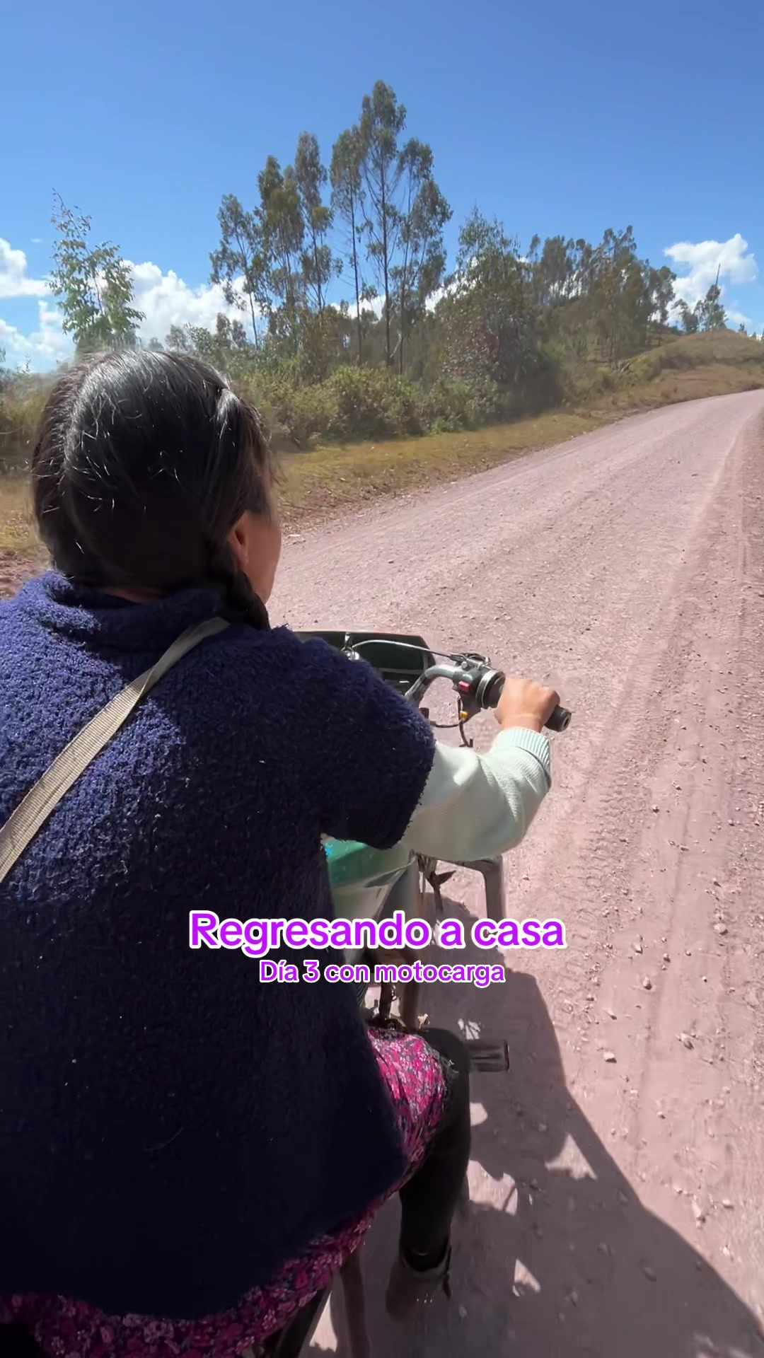 @🐈Rebeca y sus ocurrencias
