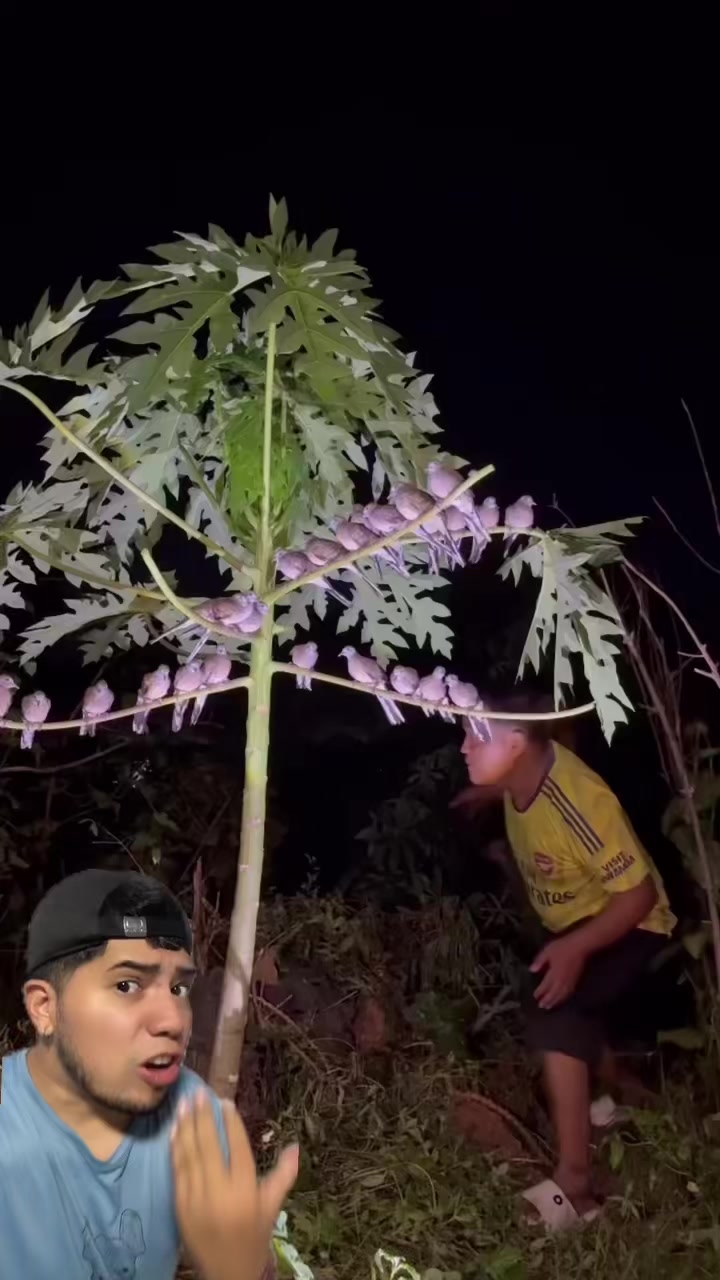 @Soy Sebassalvaje (d&uacute;os)
