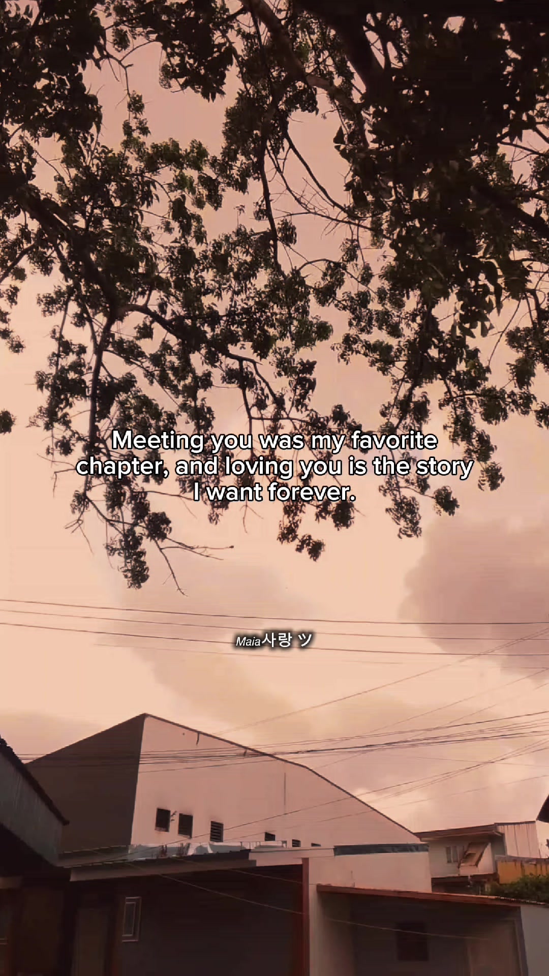@𝘔𝘢𝘪𝘢사랑 ツ