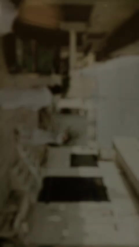 @sharooz