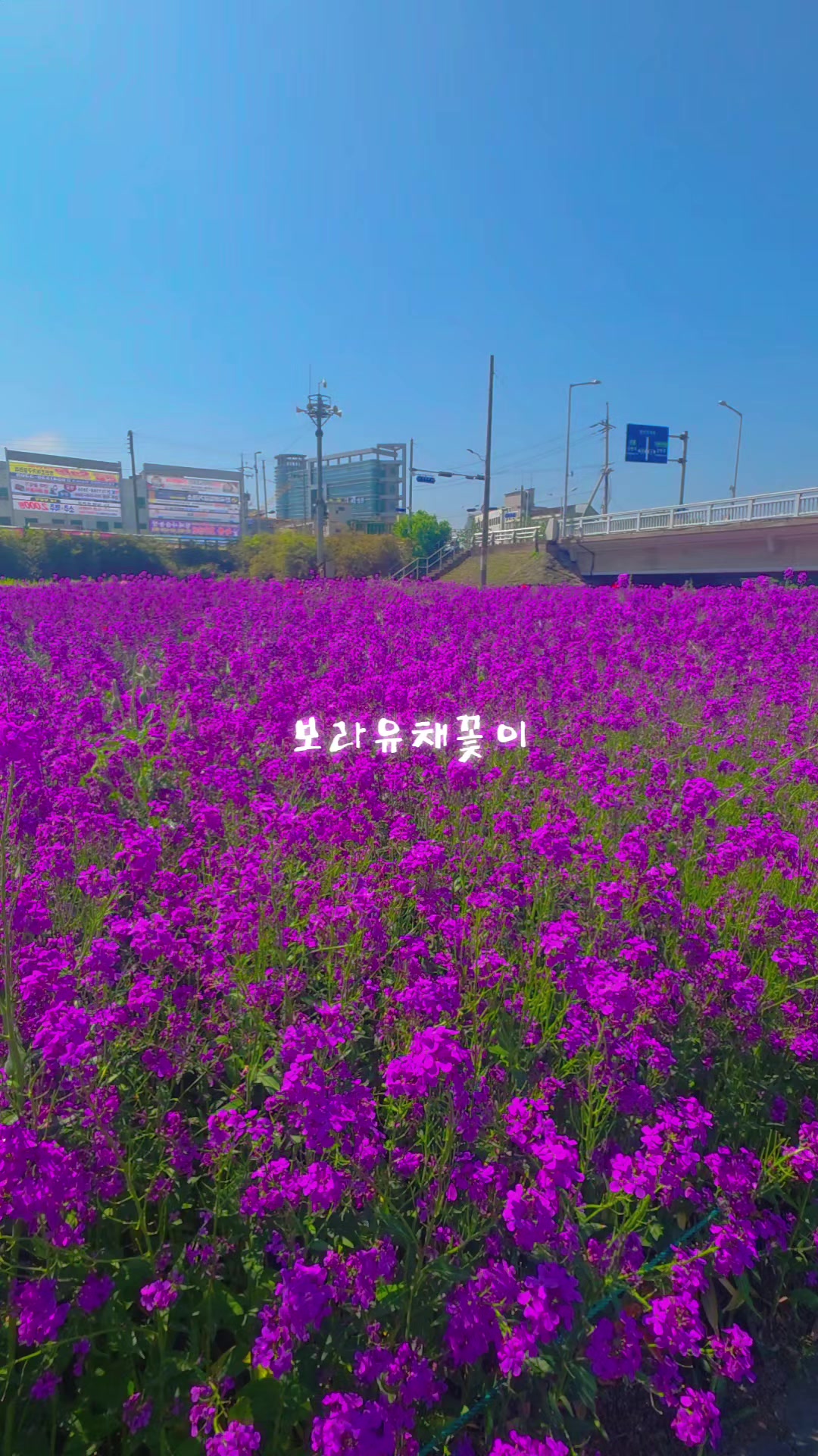 @오찬물
