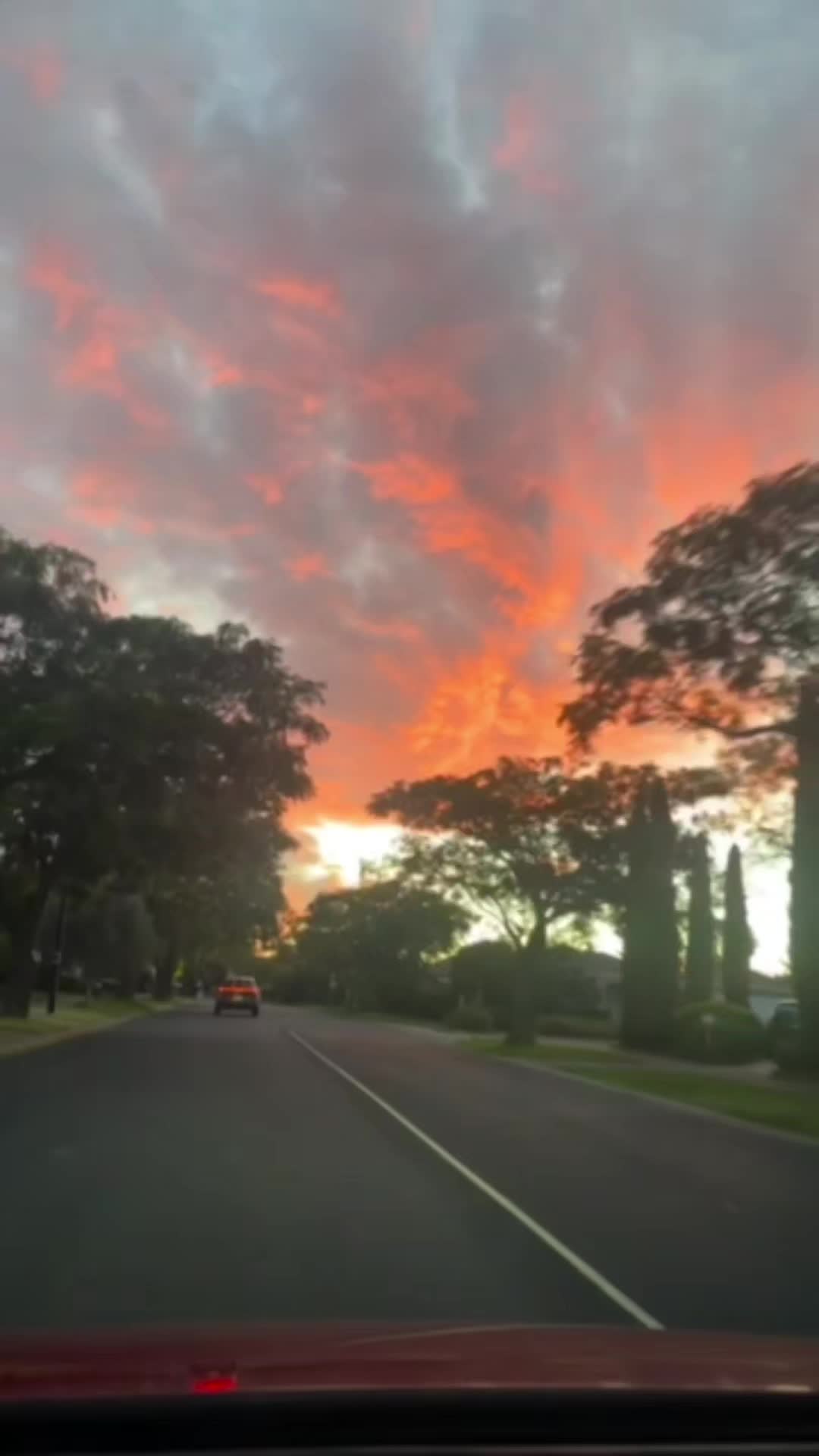 @🌺🇫🇯Sophia🇦🇺🦘