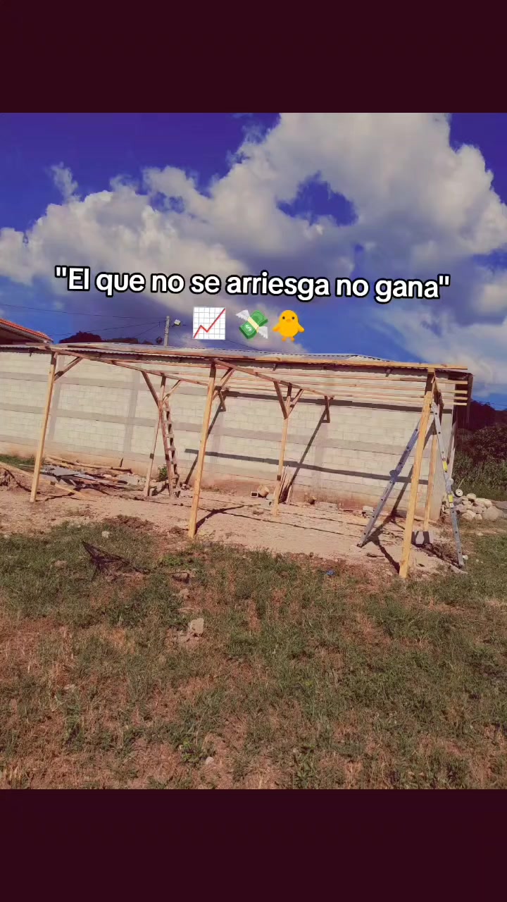 @ElyAlonzo
