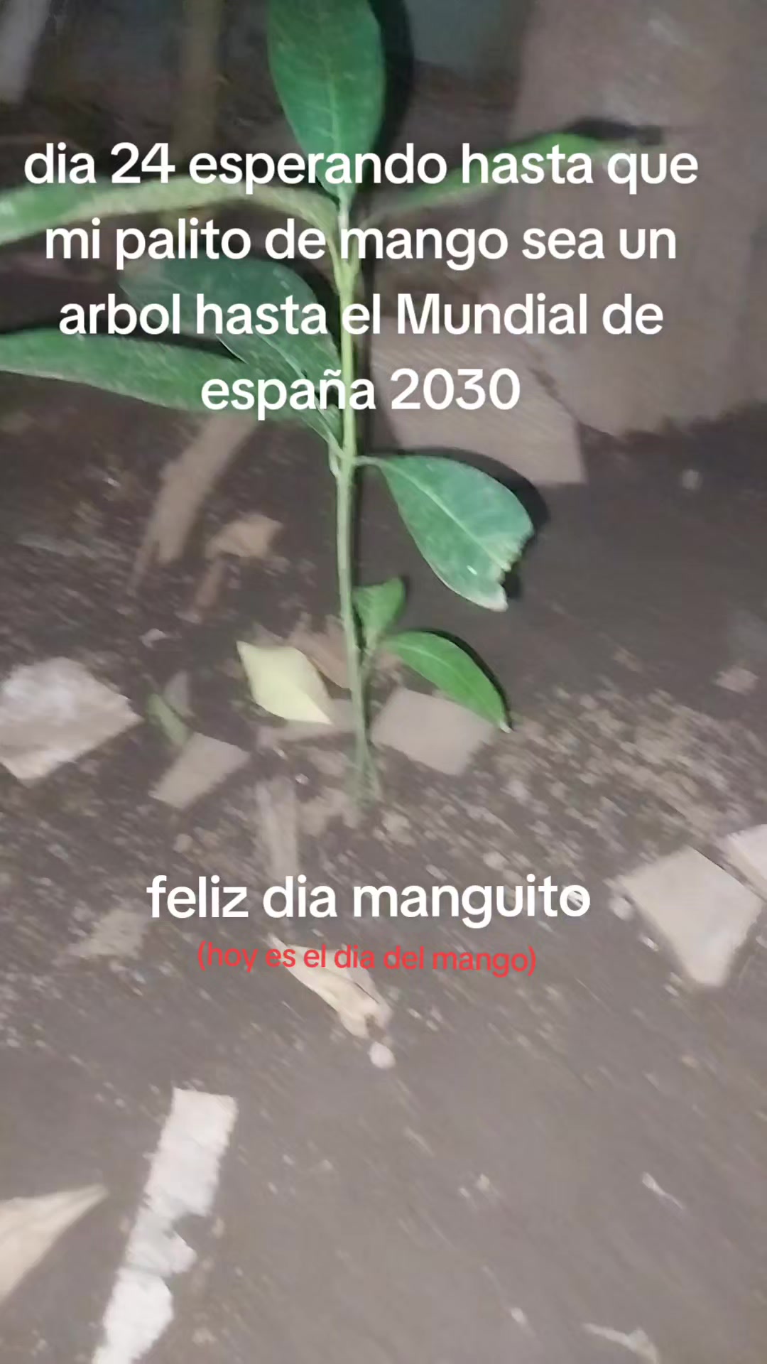 @Ale dino 🦖💚