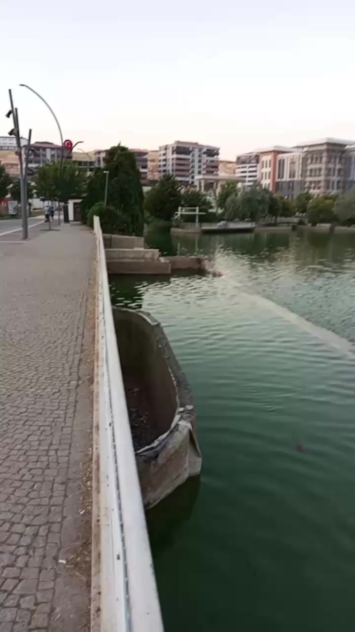 @✌☀𝙃𝘼𝙕𝘼𝙇🌟✌️