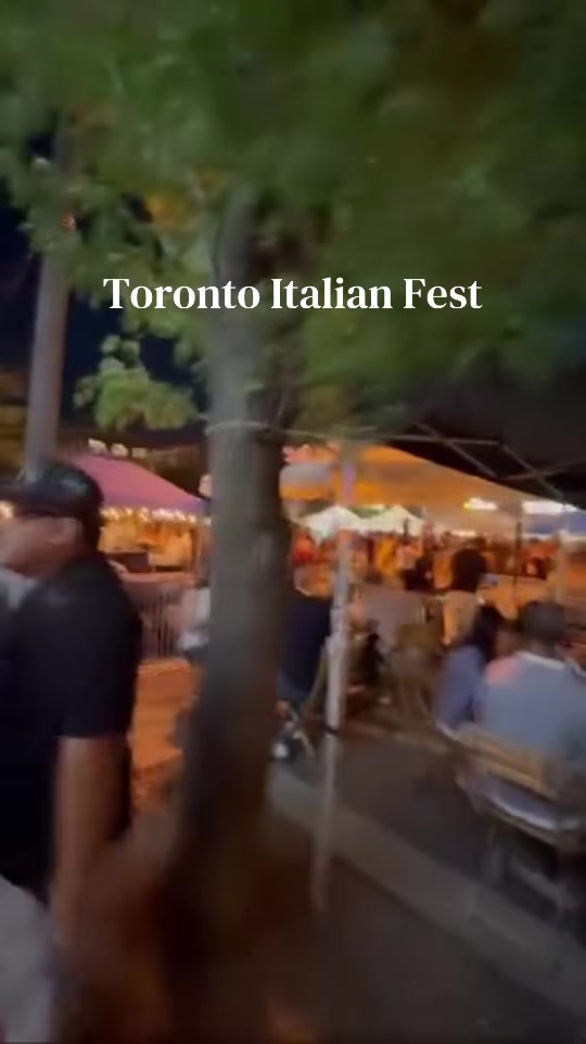 @travelinsightplug