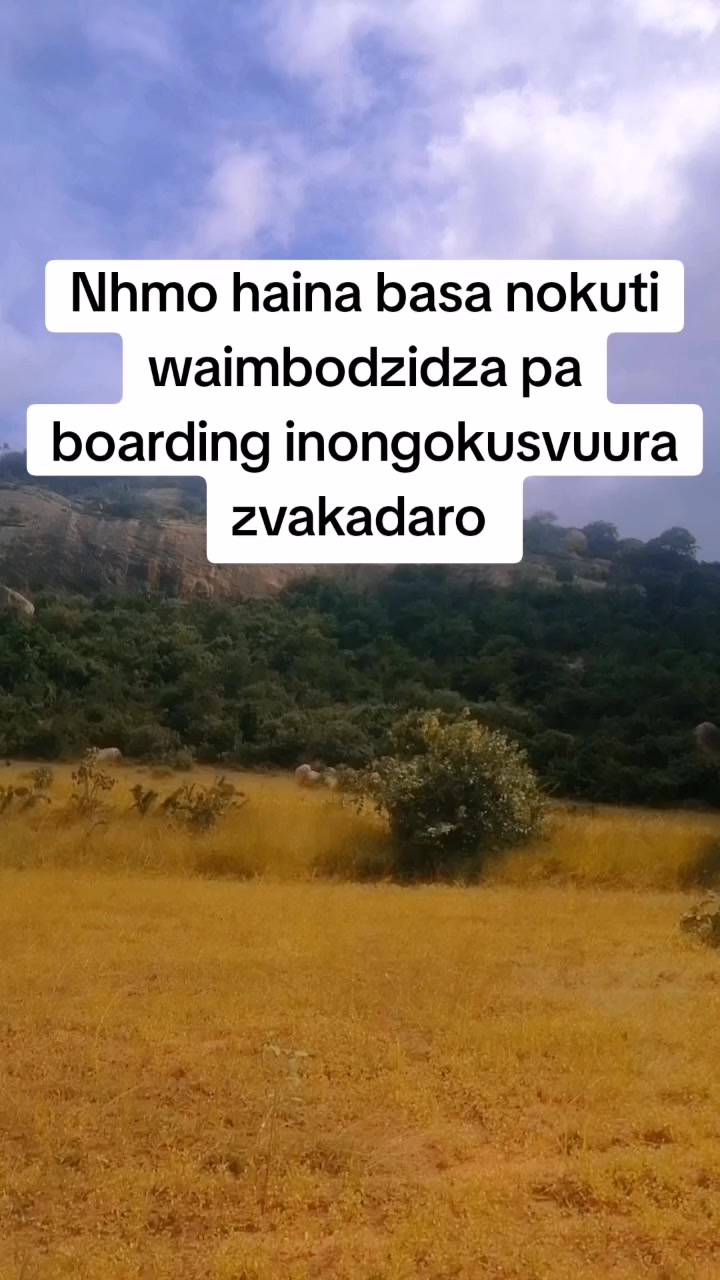 @Papa Rony 🇿🇼 🇿🇦