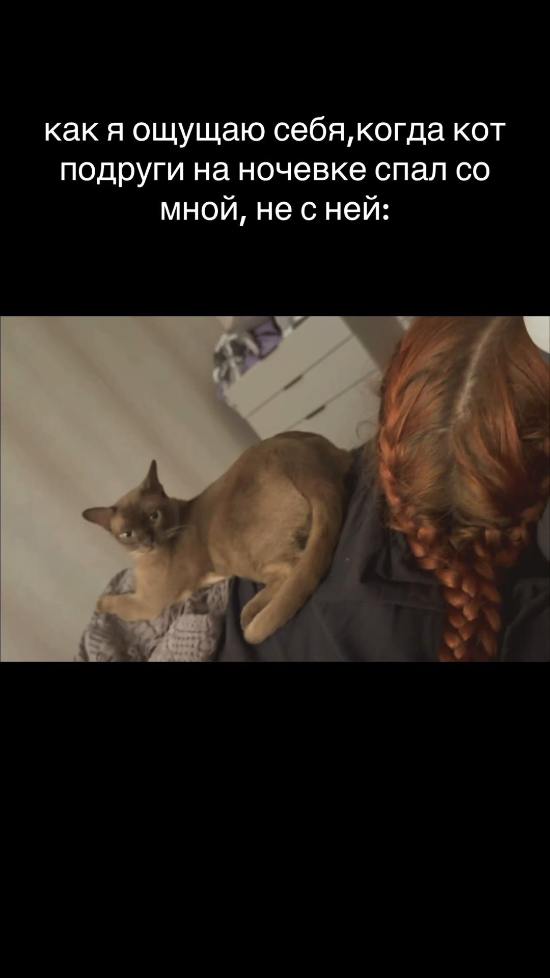 @Dassyy