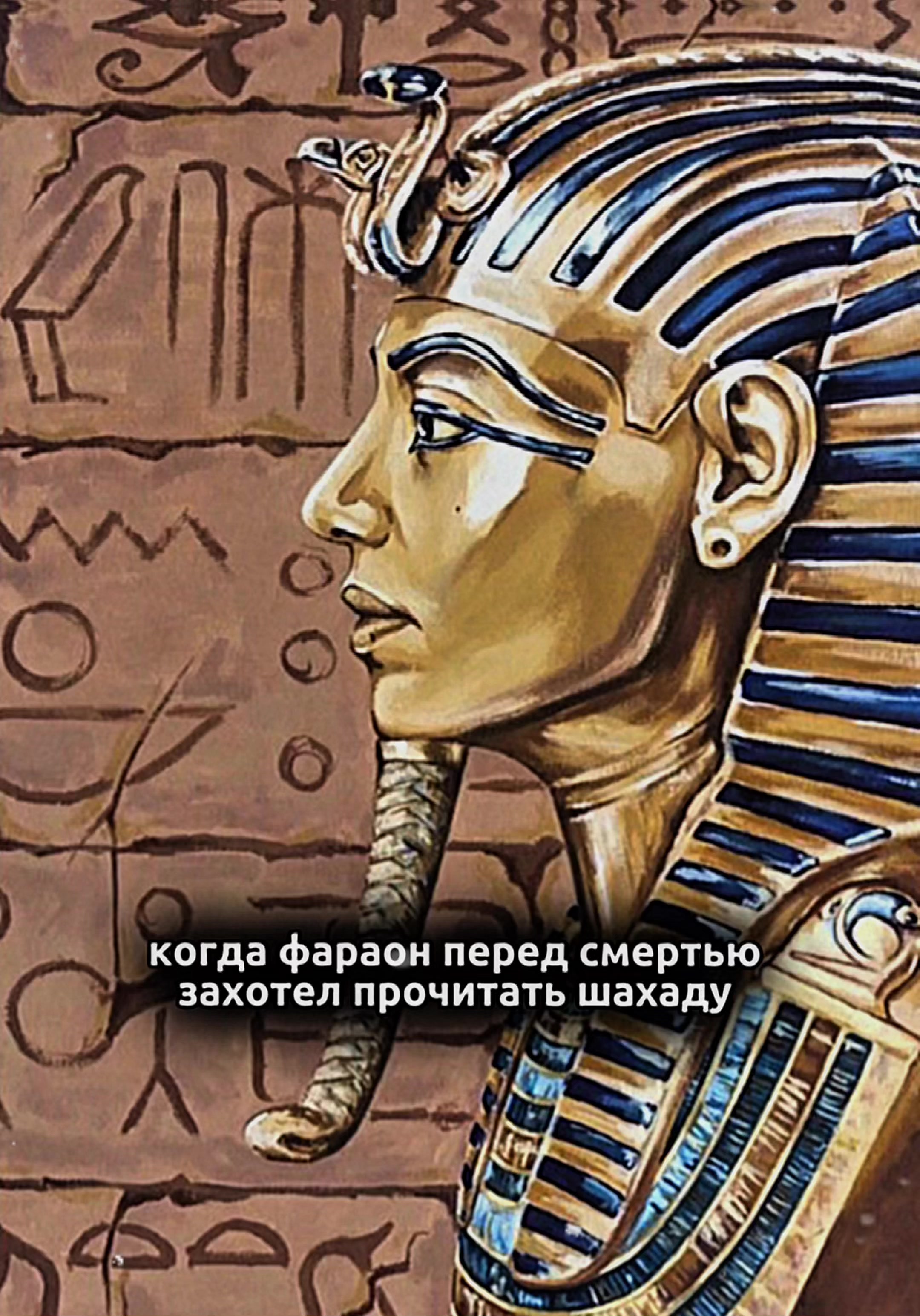 @★ваша ухтишка★