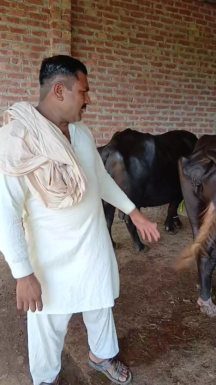 @Farming and Business Ideas