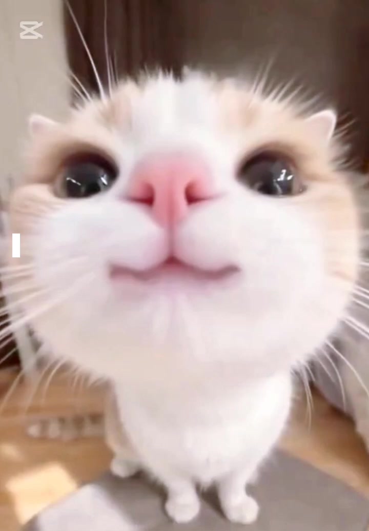 @defneymisim