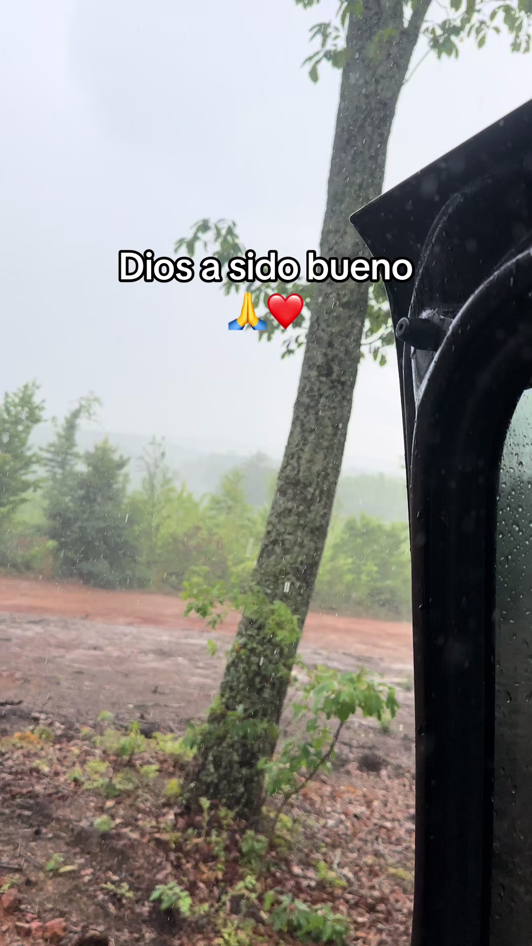 @Dani Agosto