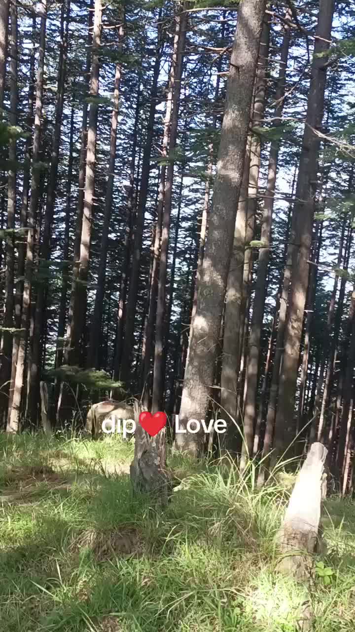 @dip❤ Love