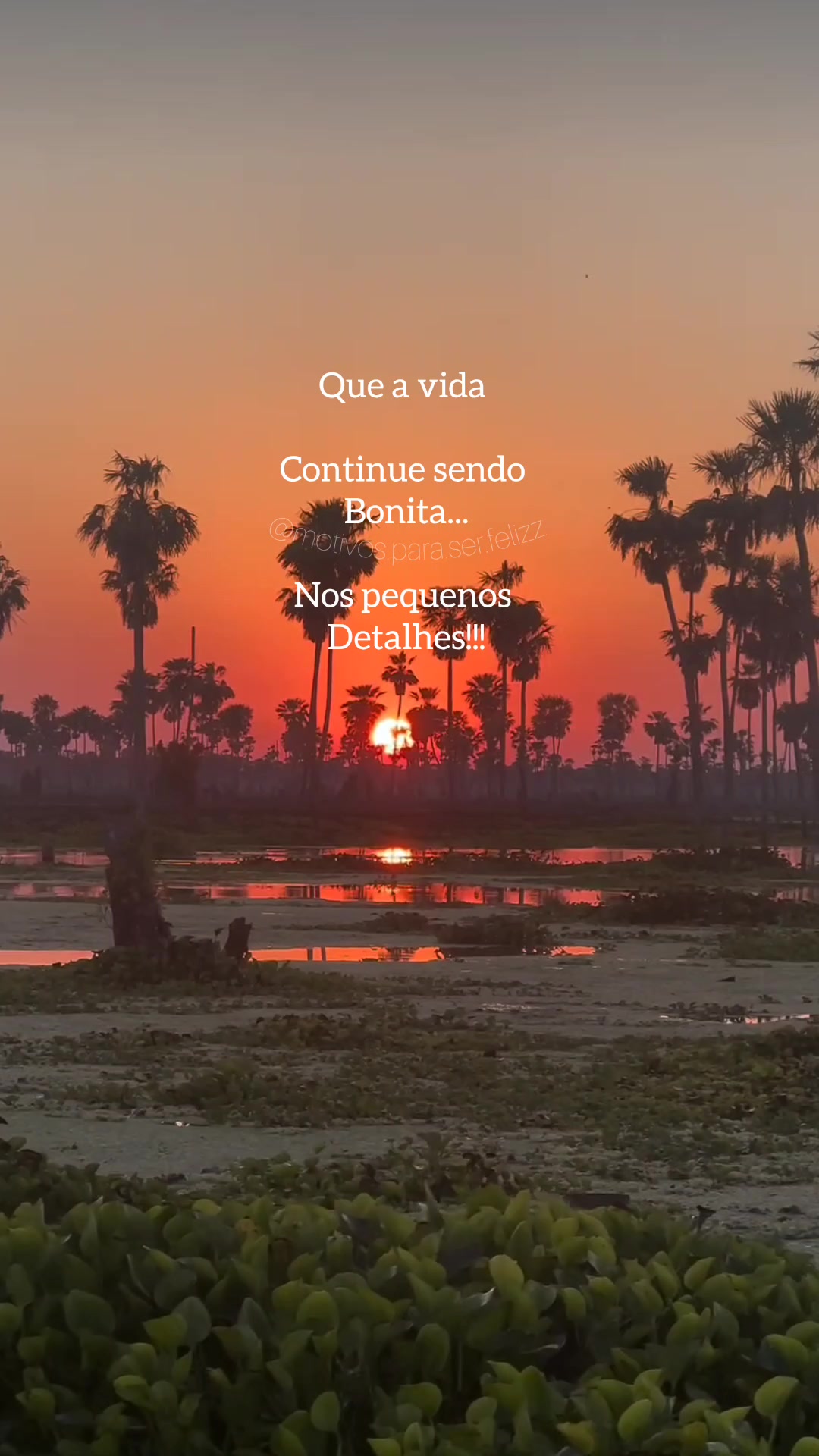 @Motivos para ser feliz