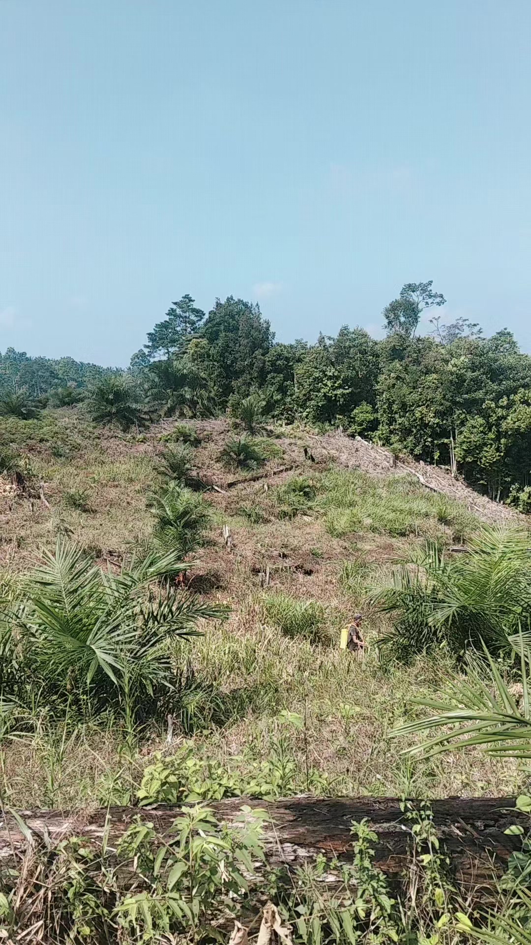 @kekasih bayangan