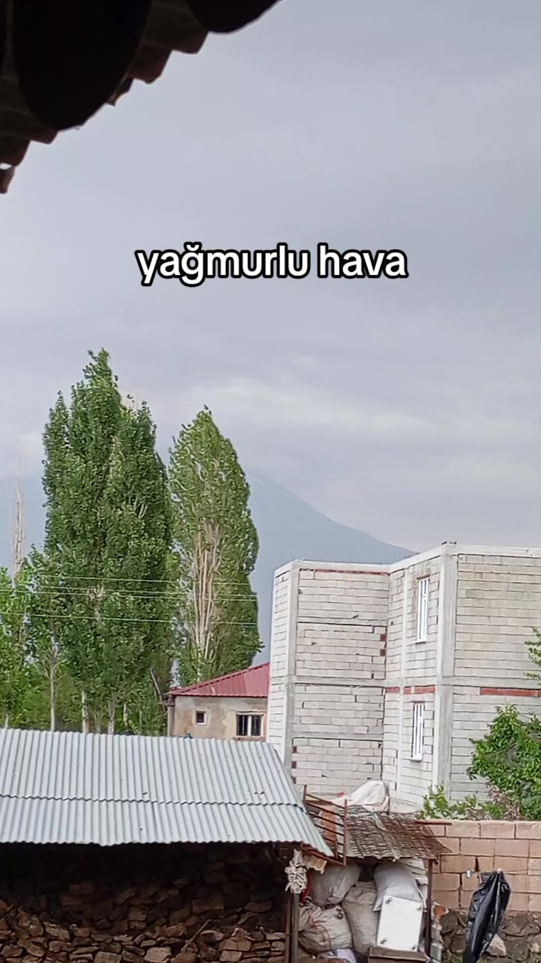 @bazidli adem04