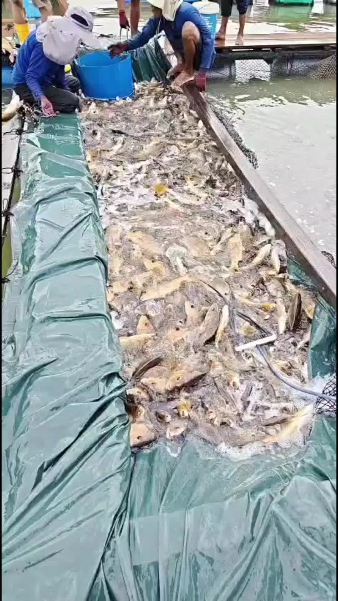 @விஷ்வா @ விச்சு 18