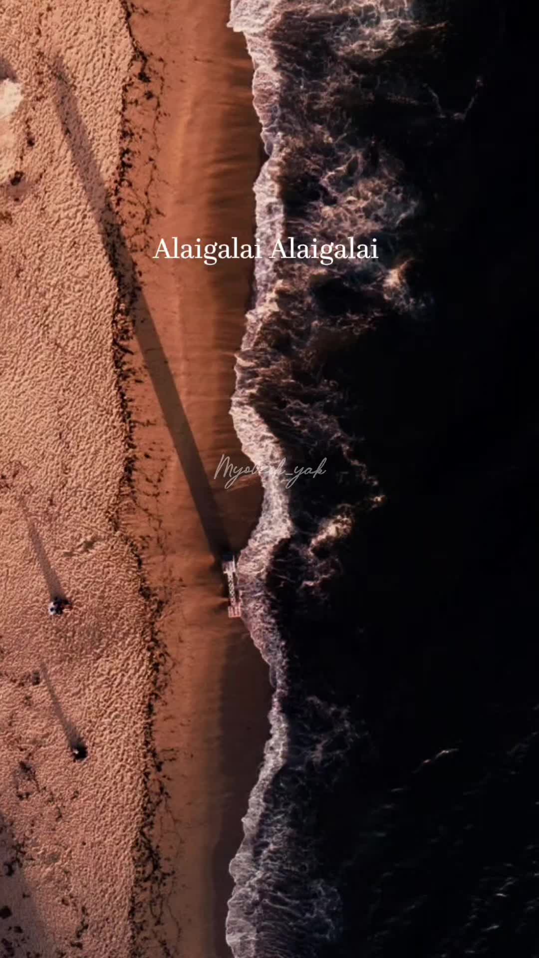 @ꪑꪗꪮ੦ɀỉƙ_ꪗꪖƙ ♪♫♬ 🧬