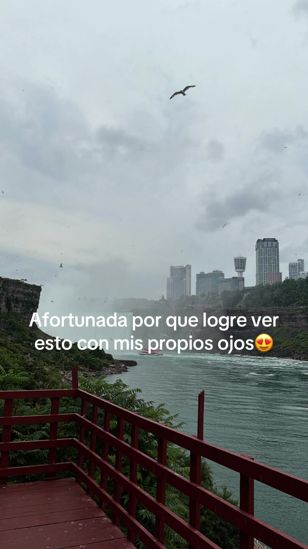 @Sirley rico
