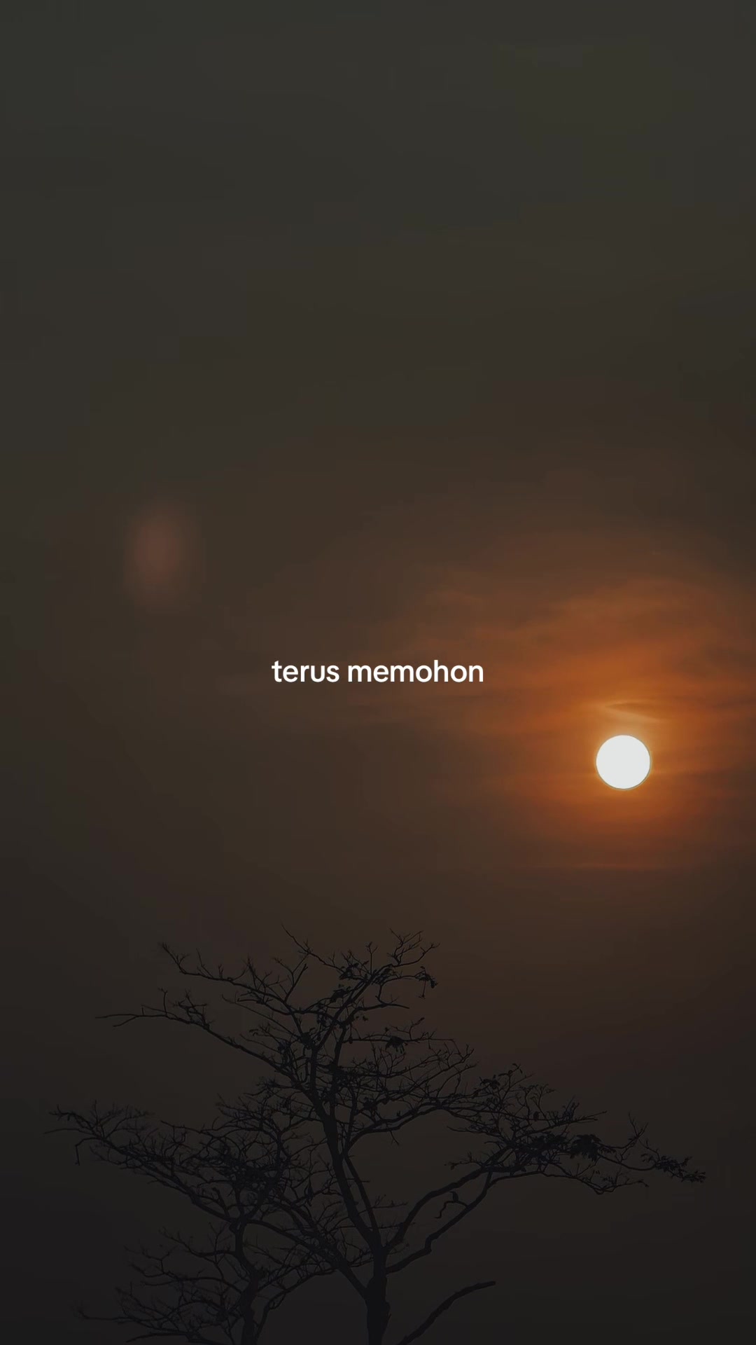 @ᴖ̈