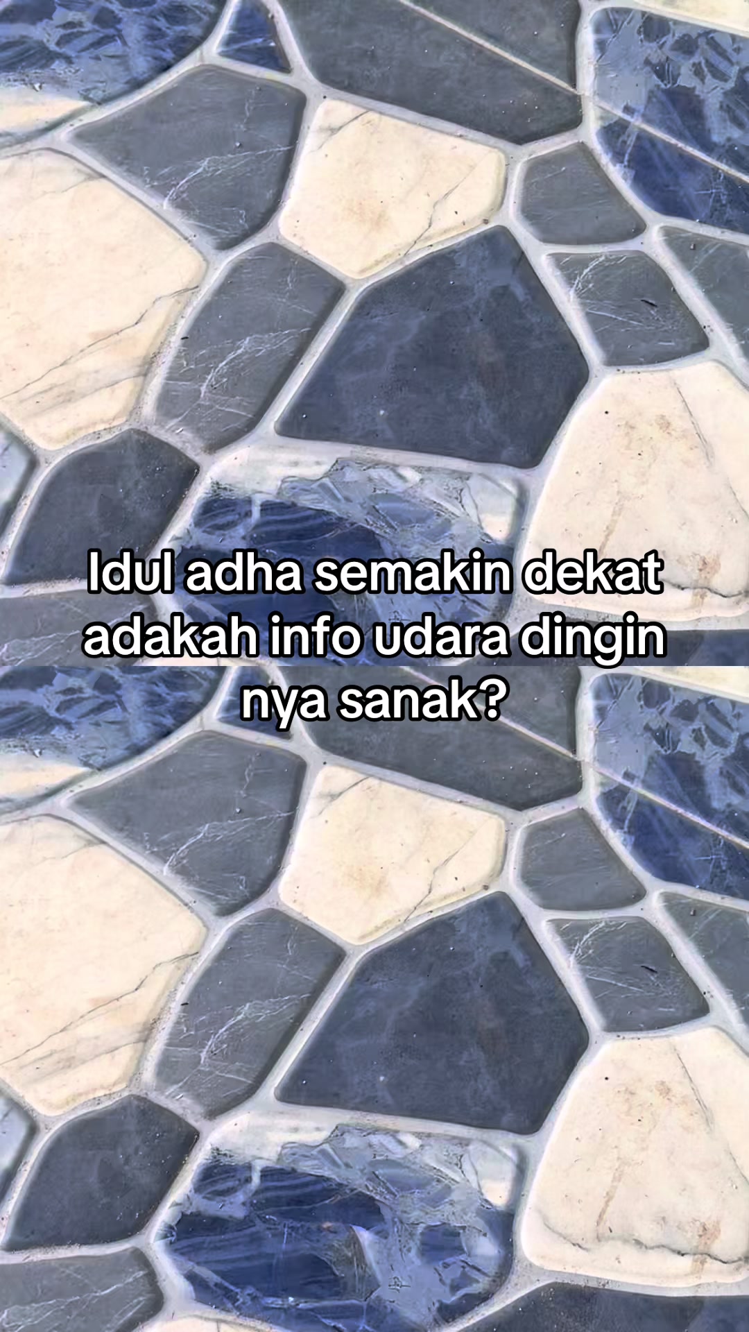@Mondik⚡