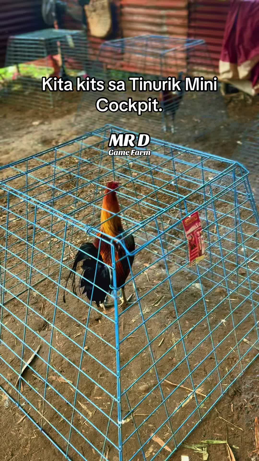 @MR D Game Farm