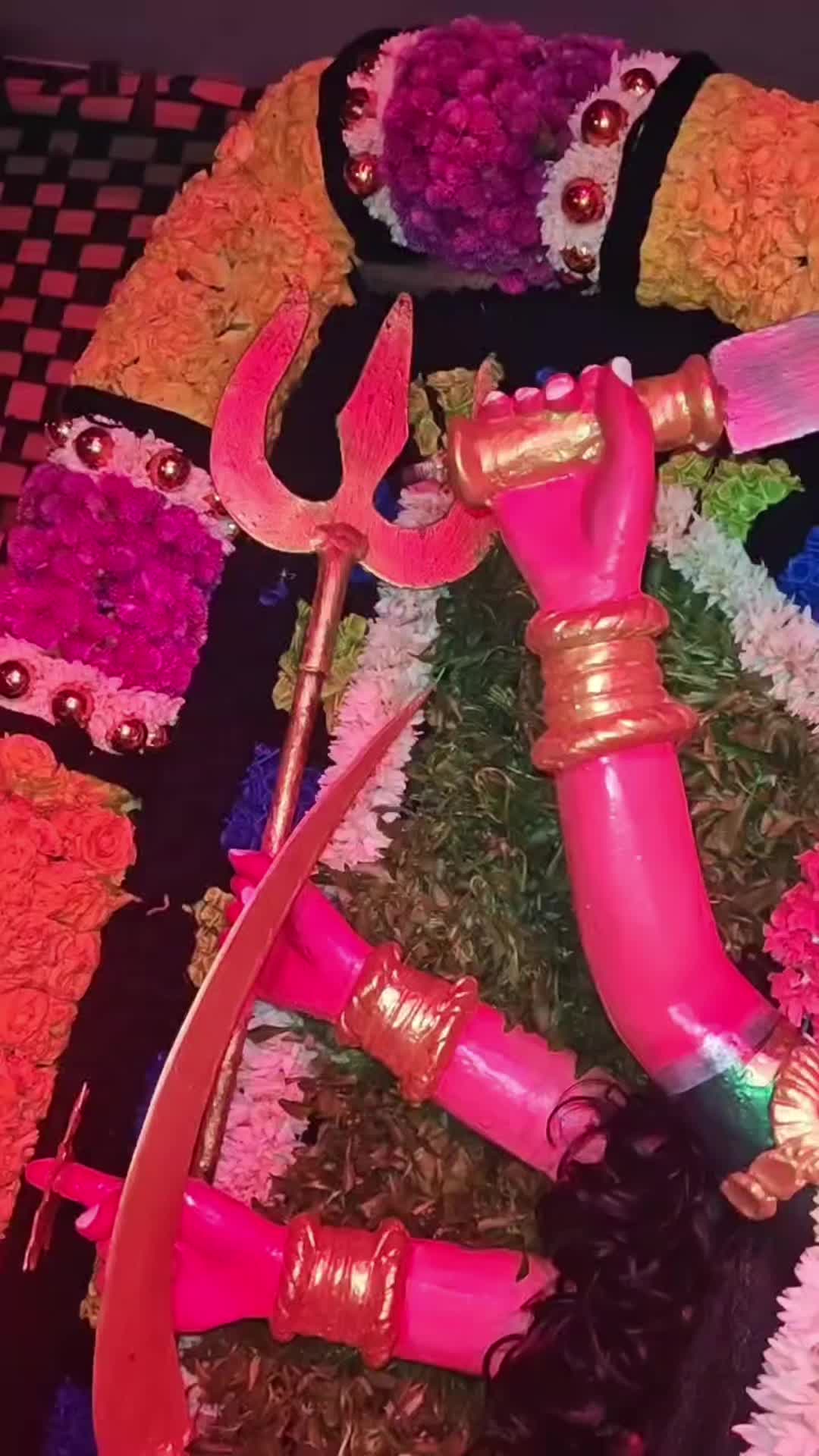 @🌺 Lin 🌺