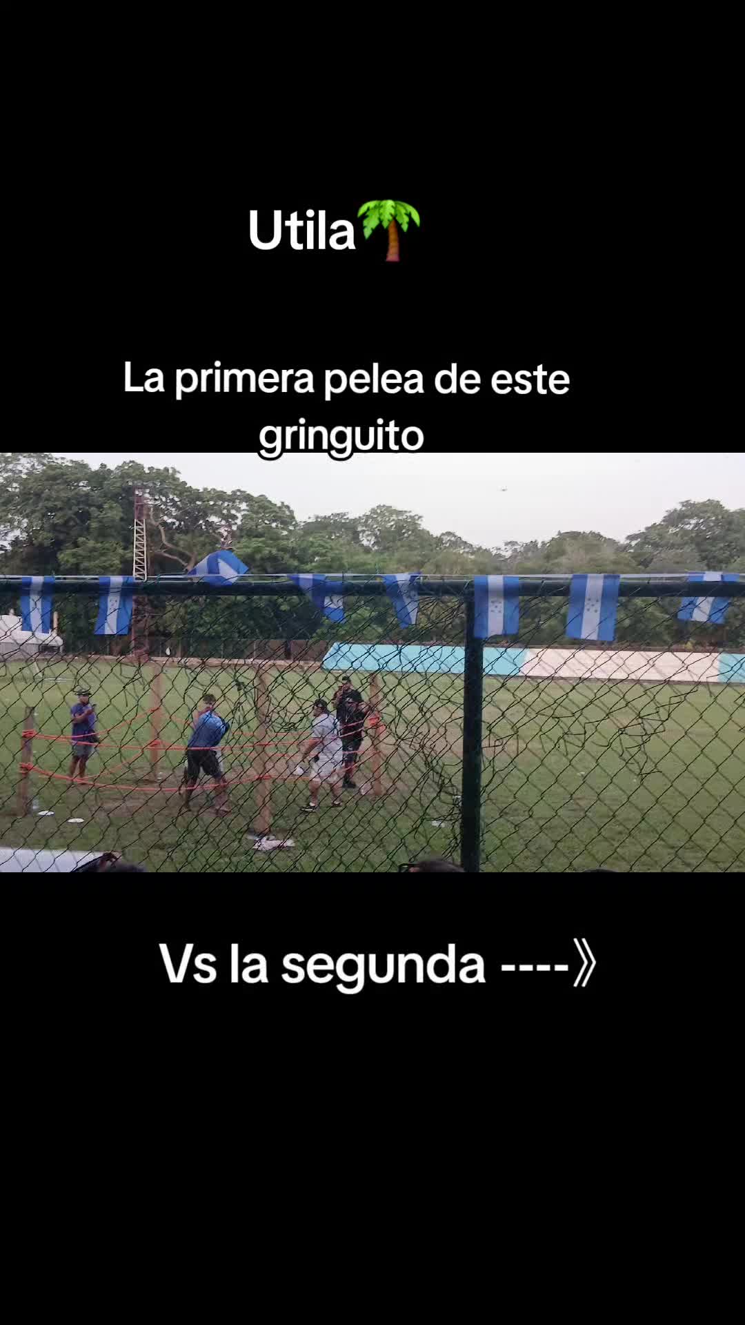 @mary