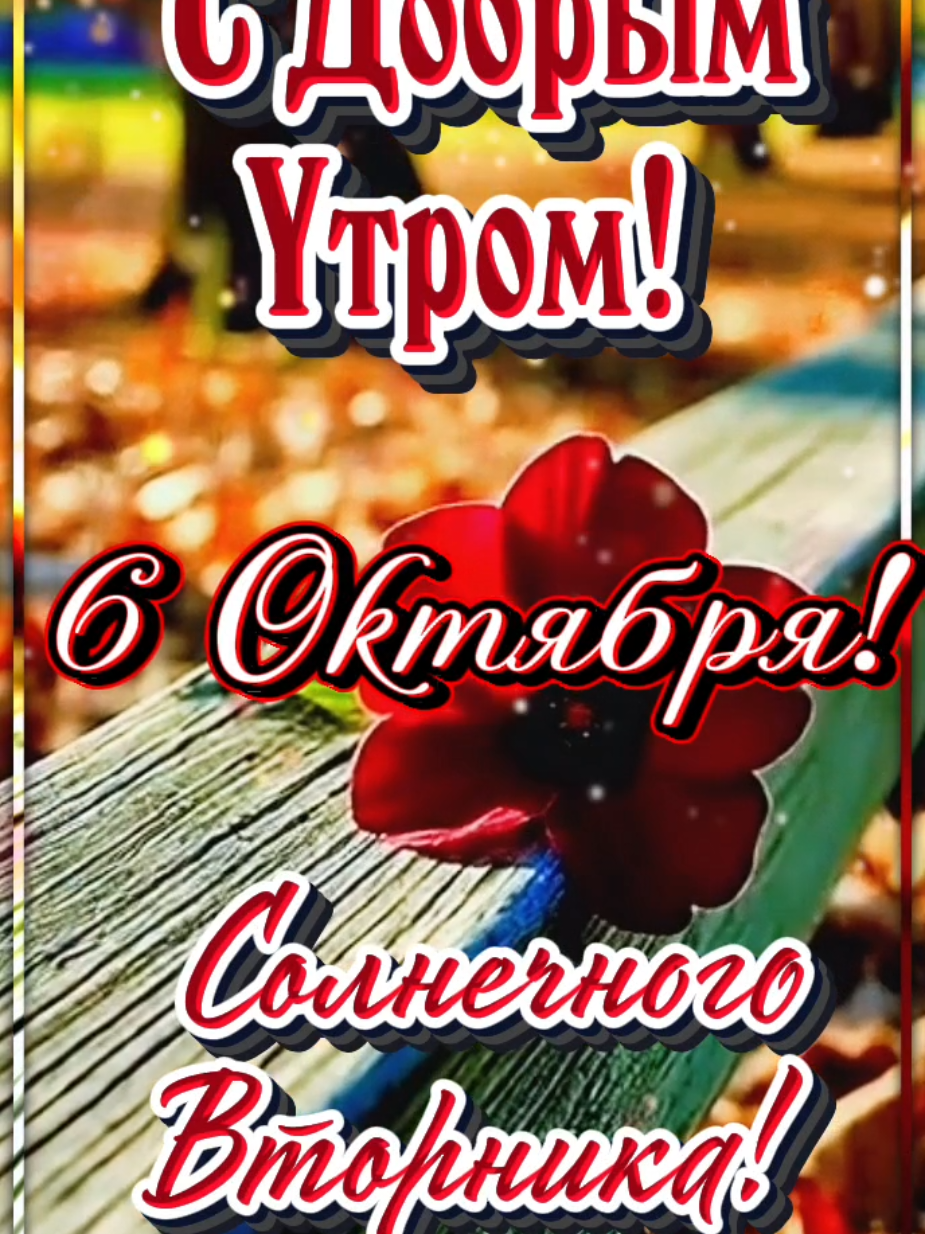@Ольга