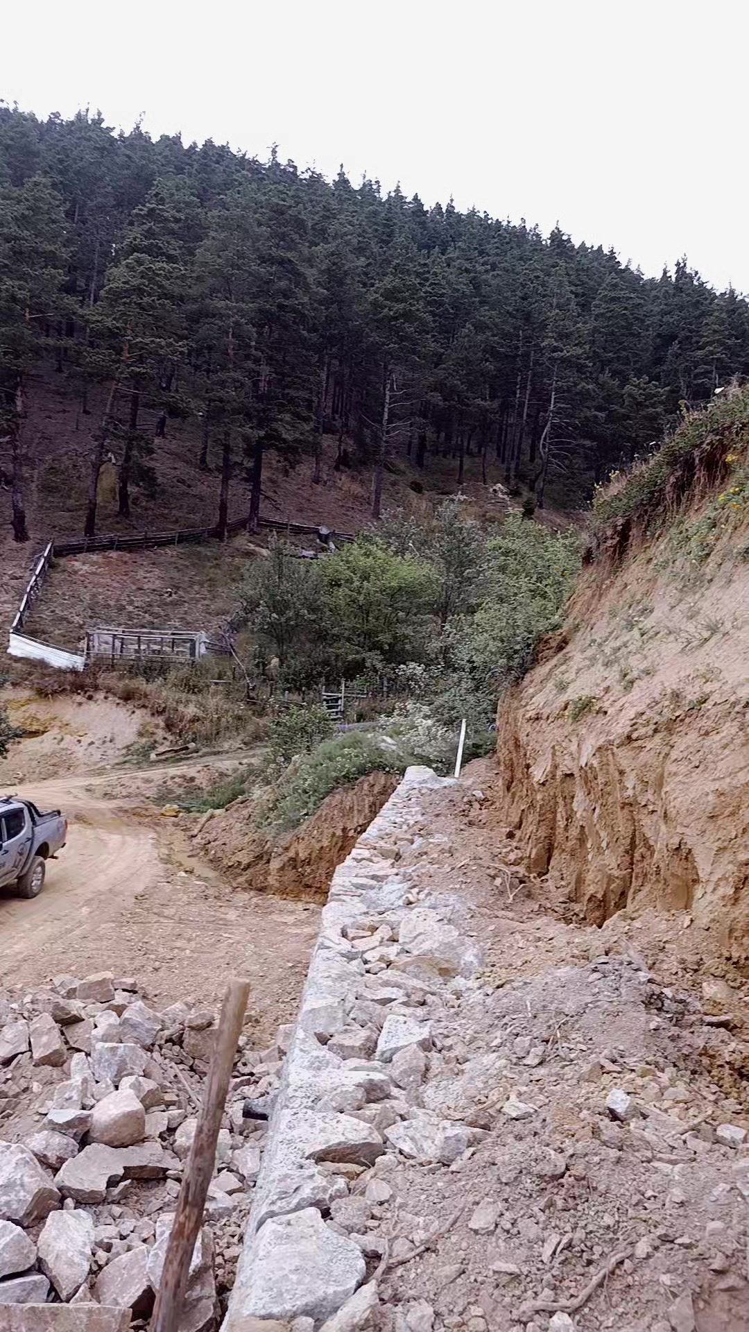 @&ouml;zg&uuml;r2121