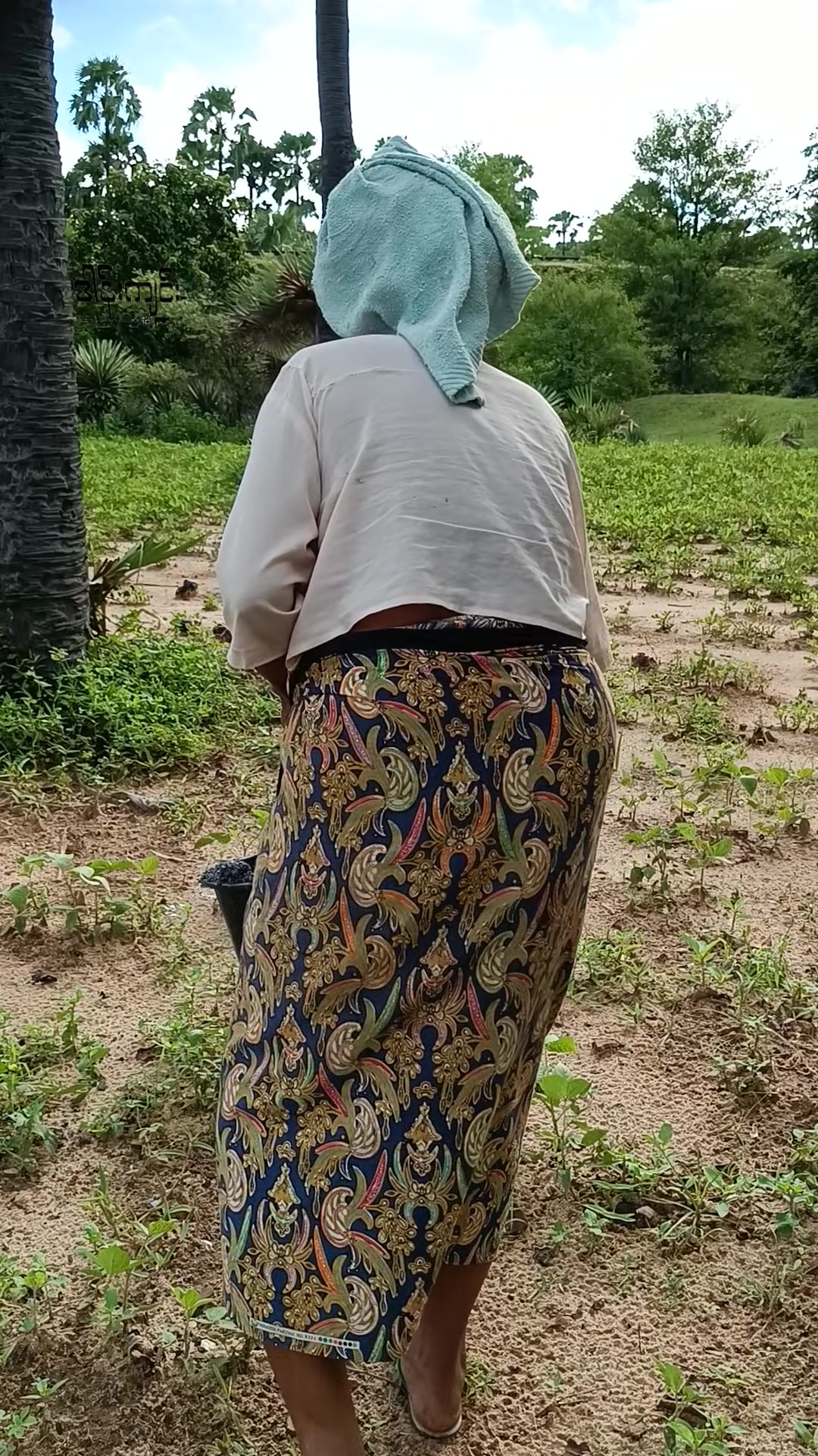 @ဒါန်းကျင်း/အညာမြေ(9.5M)