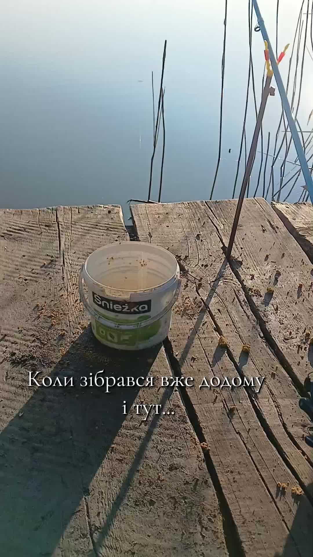 @Y A C H E V S K Y
