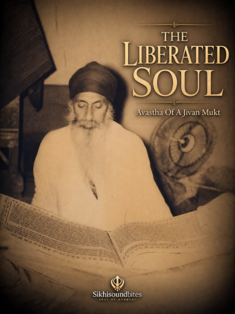 @Sikhi Soundbites