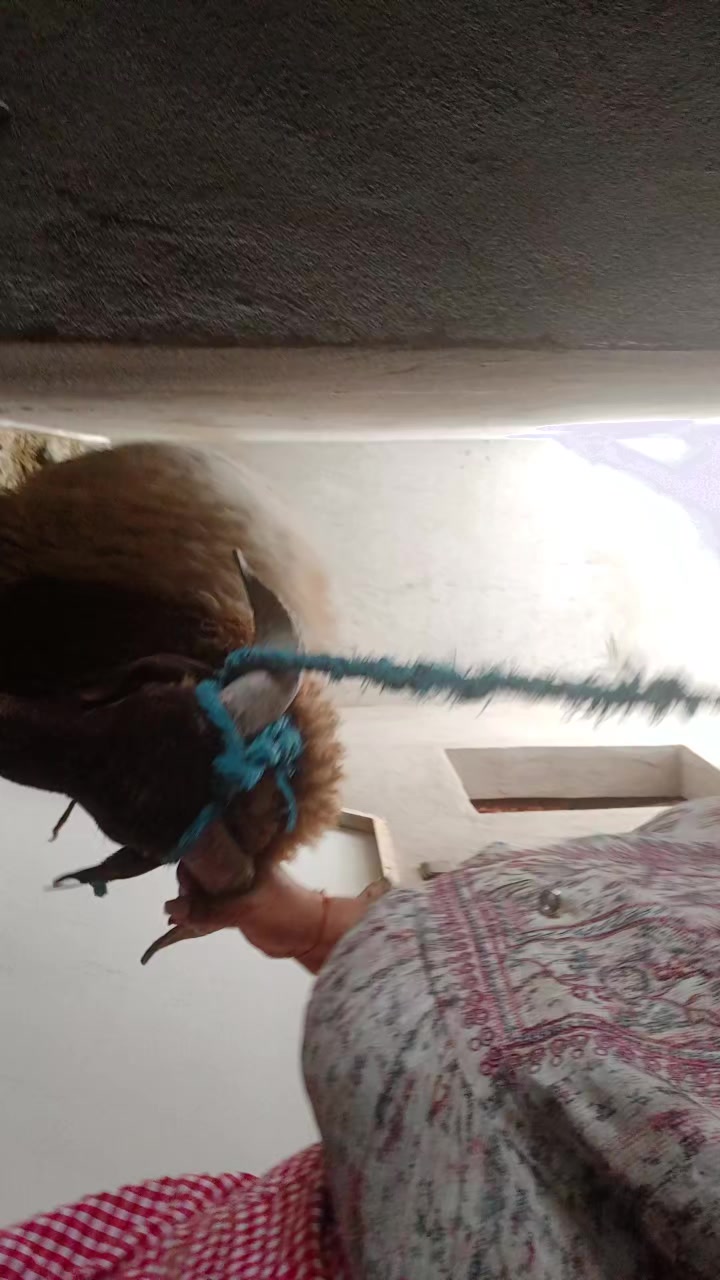 @💋دلوعة قلبي