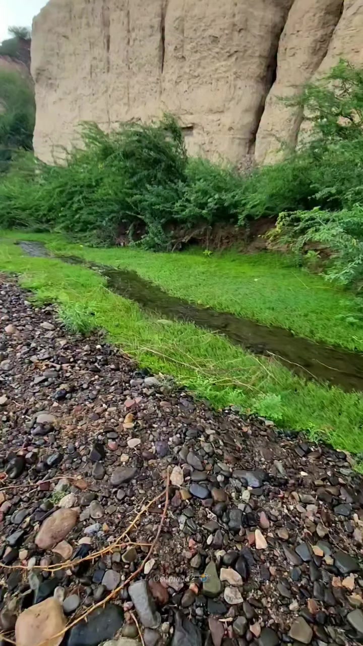 @آلُـِـِِـِِِـِِـِـﮩتـٌـٌٌـآر🌚