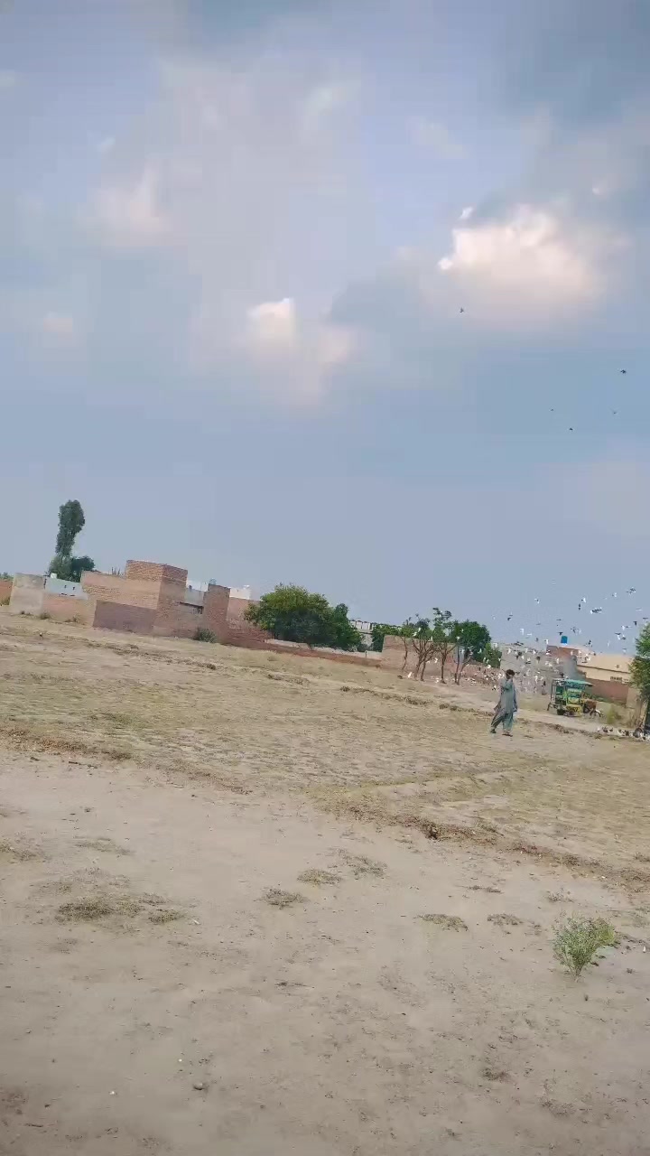 @عدیل رحمن لیہ وال کبوتر باز