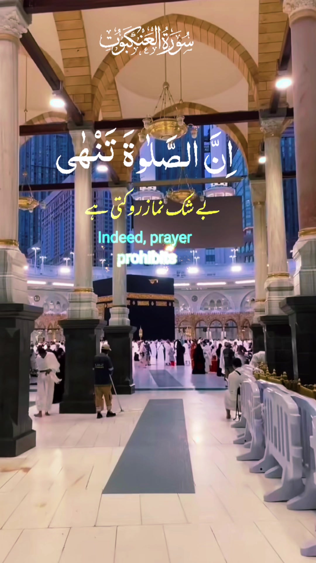 @❣️ Words of Allah ❣️