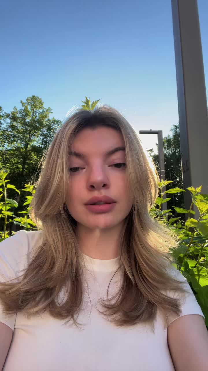 @nikaa