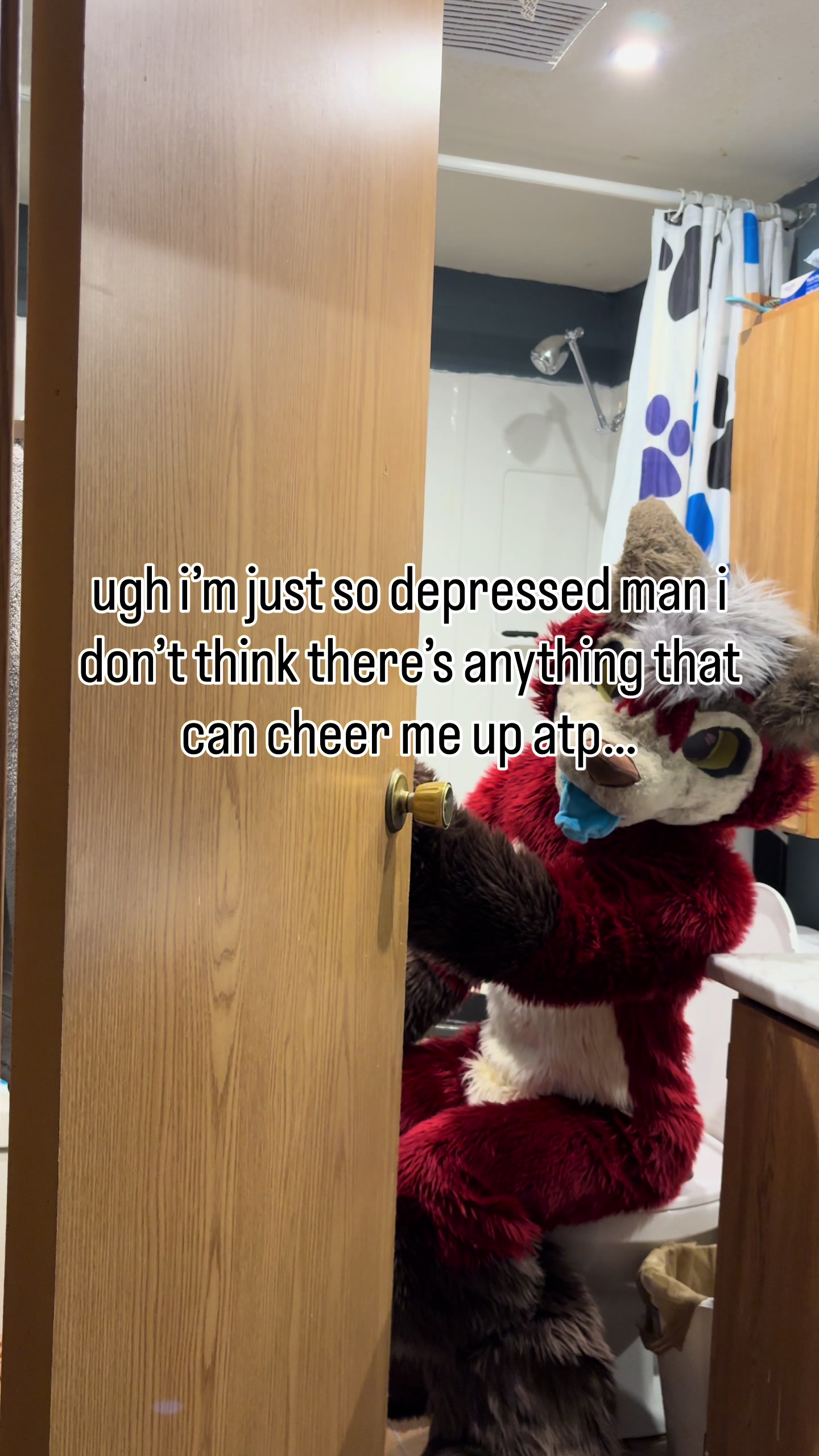 @Fry The Dumb Fox (Official)
