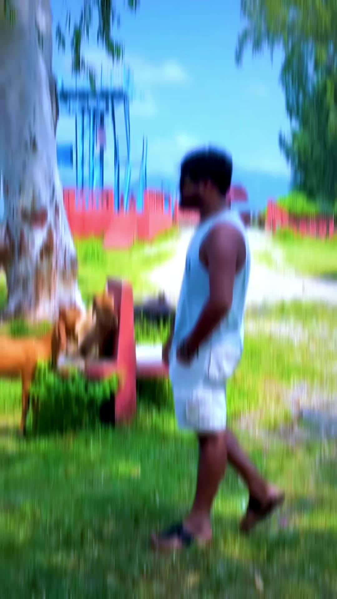 @â£ïžâ£ïžððð¿ DHI—RAJ ð¿ððâ£ïžâ£ïž