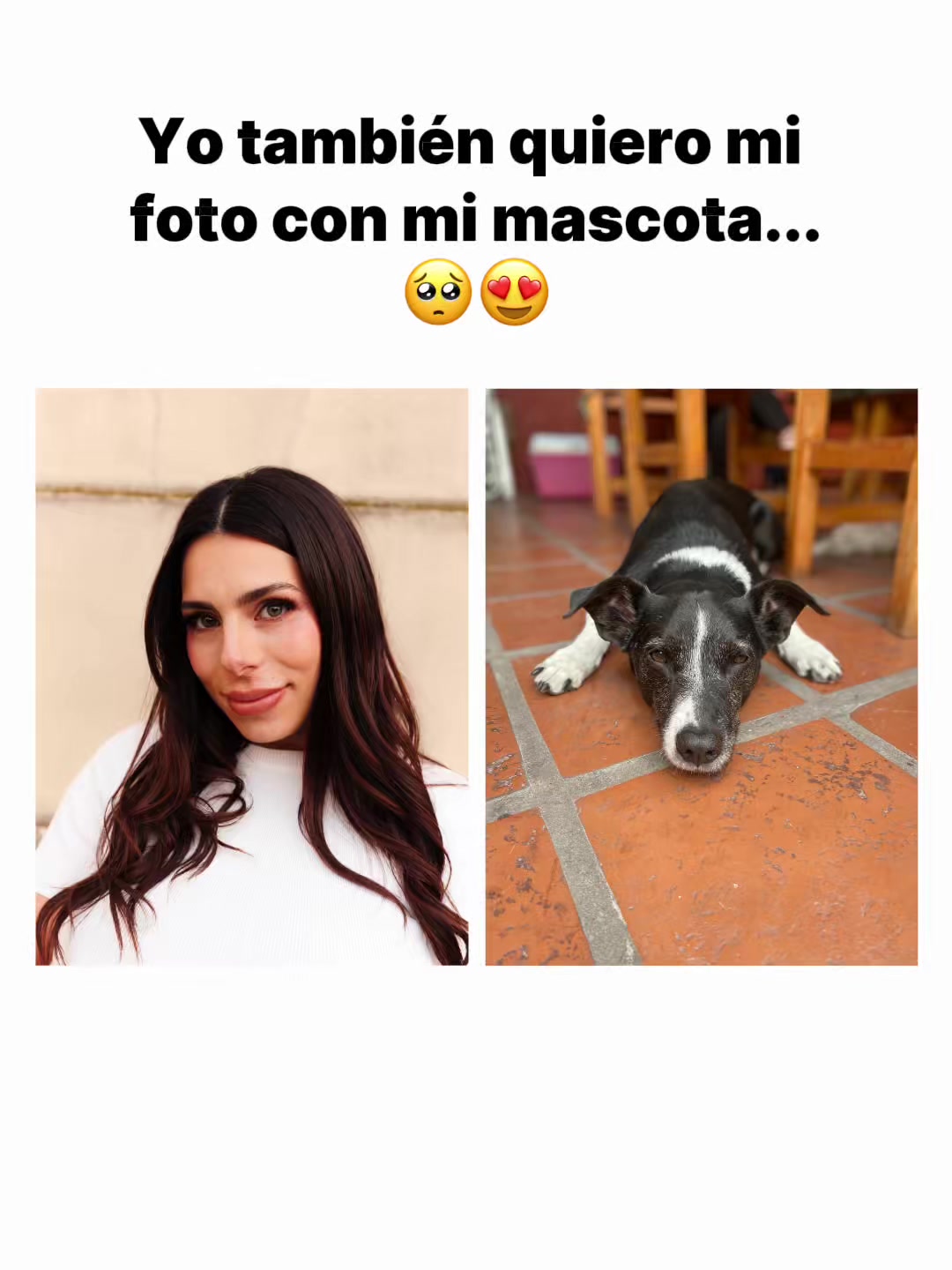@Srita. Duclos 🦄