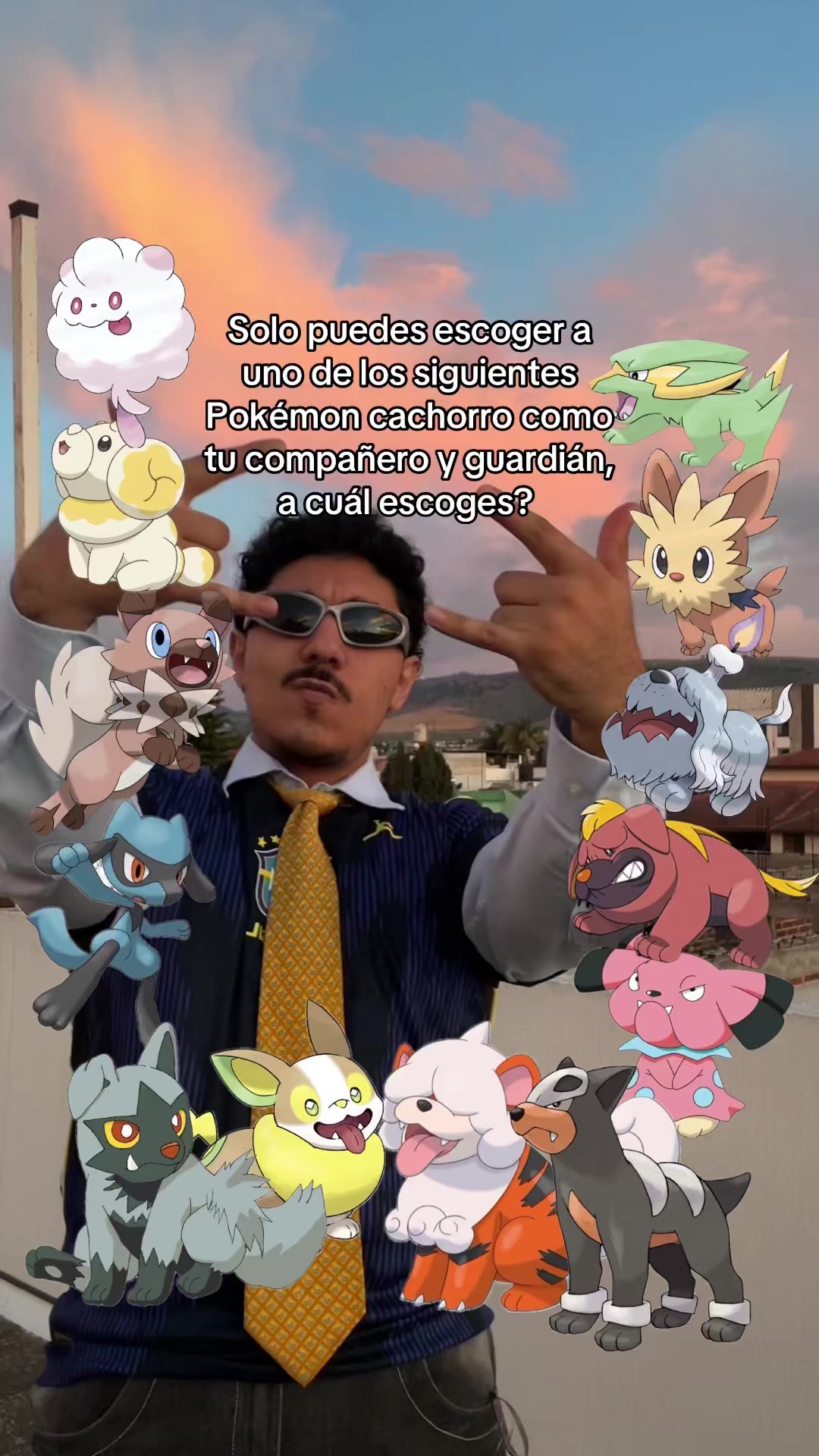 @CachyRulinho