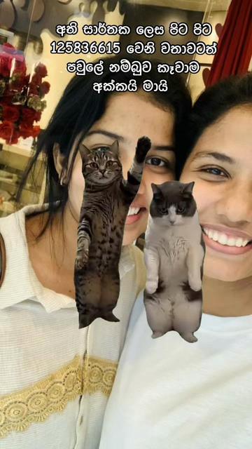 @Su_dhara