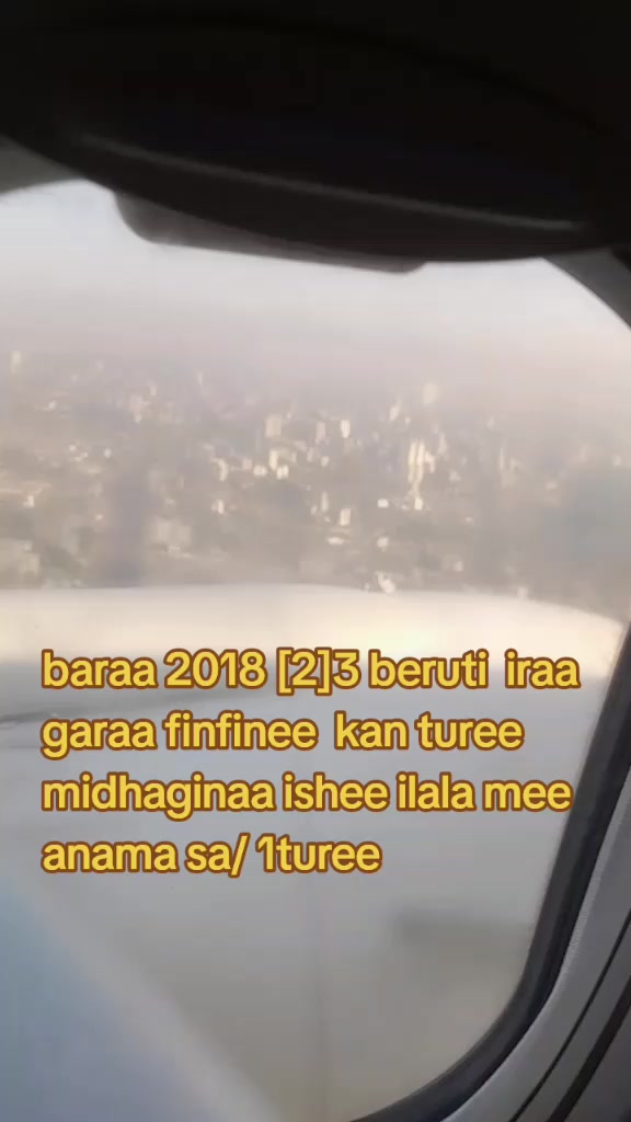 @masi hadhaa Tsiyoon