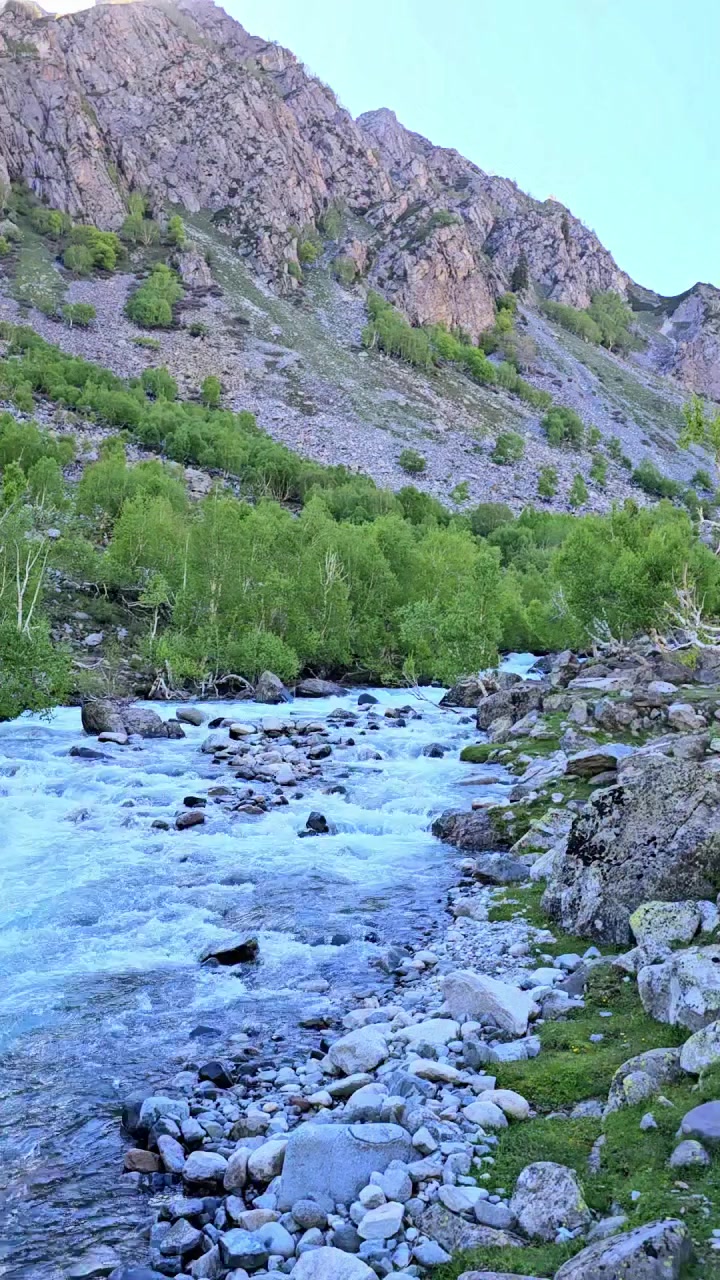 @🔥👑. KÎÑG OF SHANGLA🔥👑